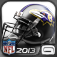NFL Pro 2013